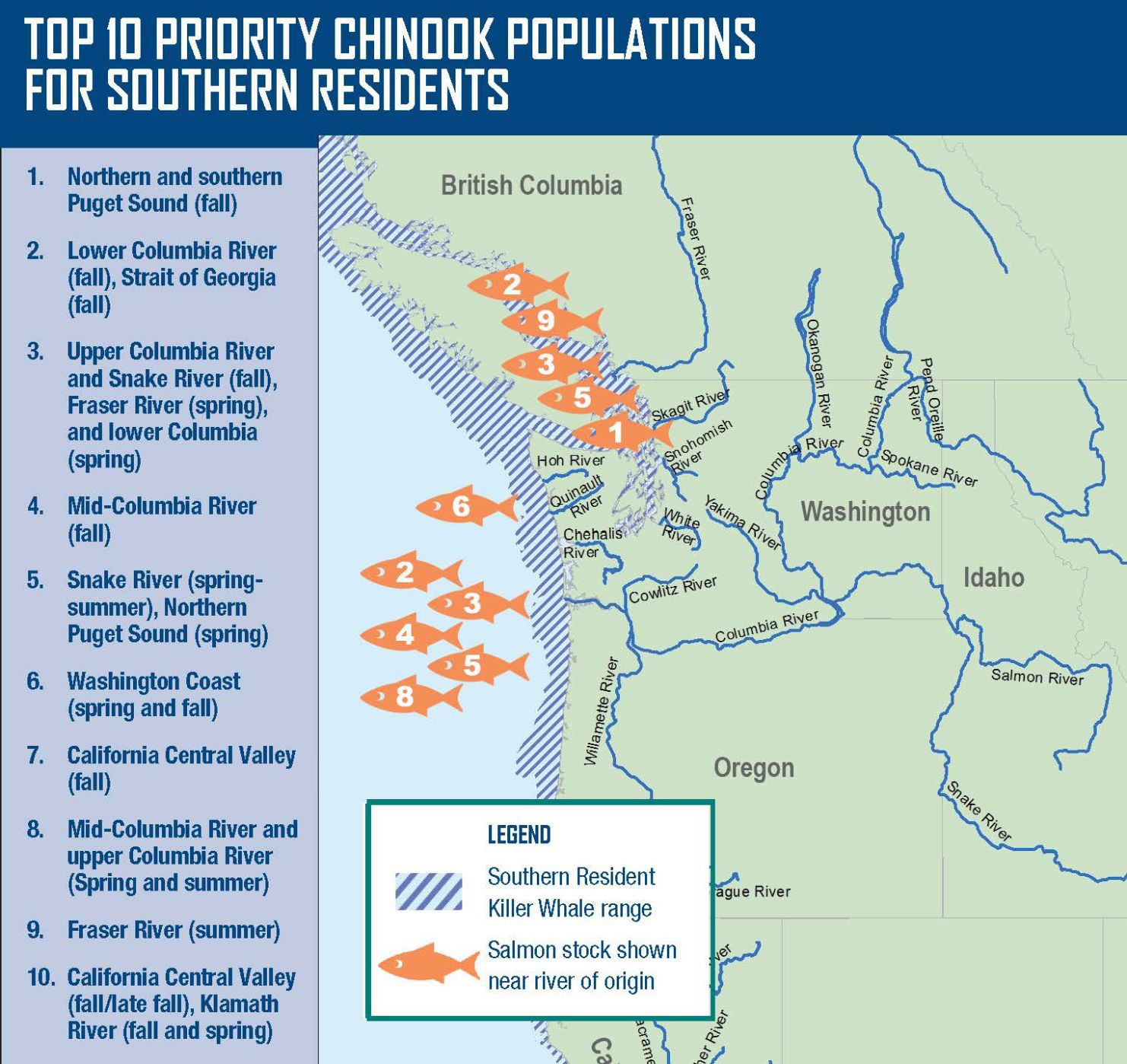 Salmon sources